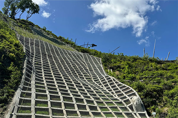 緑化材