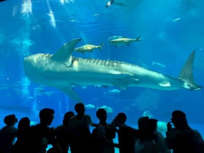 aquarium2