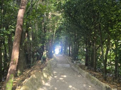 okinawa_landscape4